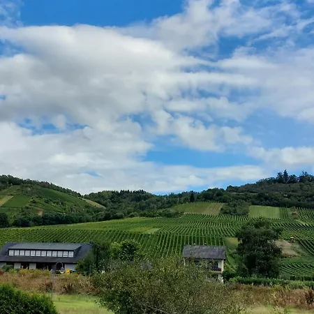 アパート Fewo's Weinbergblick By Brauneberger Hof ヴィントリッヒ