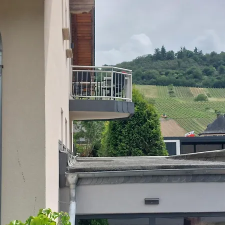 Apartamento Fewo's Weinbergblick By Brauneberger Hof An Der Mosel *
