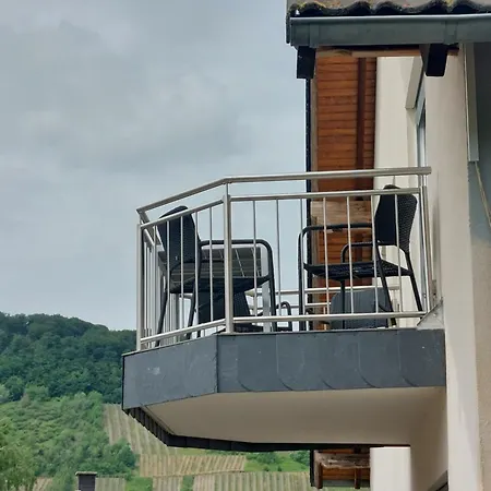 Apartment Fewo's Weinbergblick By Brauneberger Hof An Der Mosel Wintrich