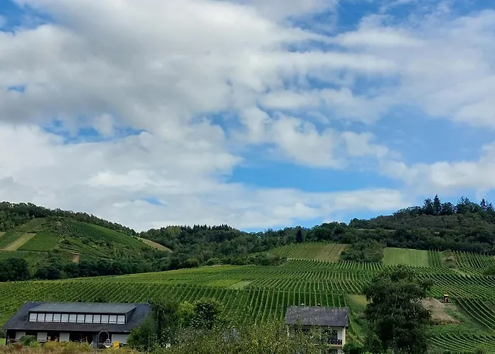 Apartamento Fewo's Weinbergblick By Brauneberger Hof An Der Mosel Wintrich