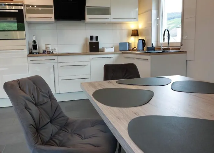 Fewo's Weinbergblick By Brauneberger Hof An Der Mosel