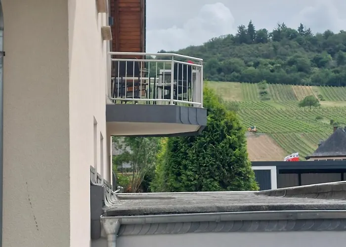 Apartment Fewo's Weinbergblick By Brauneberger Hof *